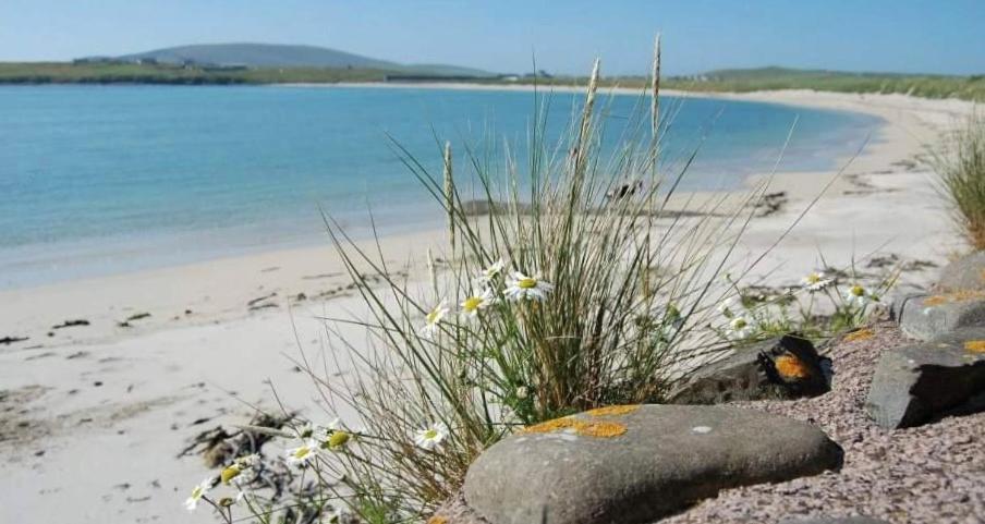 Islesburgh House Hostel Lerwick Buitenkant foto